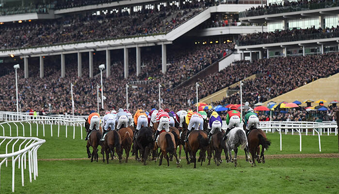 cheltenham gold cup 2021