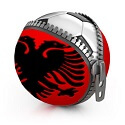 EM 2016 Fußball Albanien