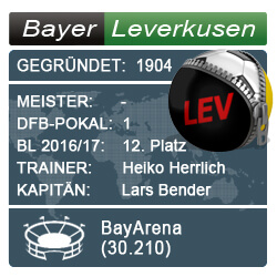 bundesliga-bayer-leverkusen-wf