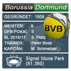 bundesliga-borussia-dortmund-wf