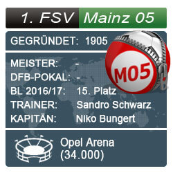 bundesliga-fsv-mainz-05-wf