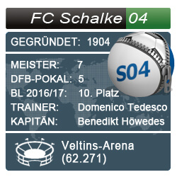 Schalke 04 Bundesliga Steckbrief