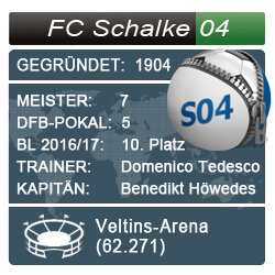 bundesliga-schalke-04-wf