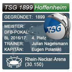 bundesliga-tsg-1899-hoffenheim-wf