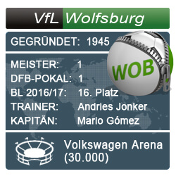 bundesliga-vfl-wolfsburg-wf