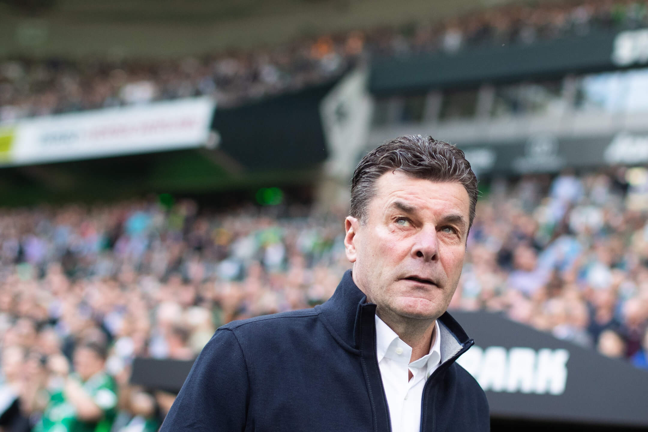 Hannover - Gladbach Tipp