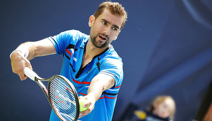 Stebe - Cilic Tipp
