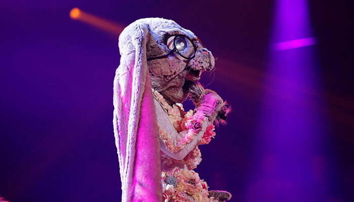 masked singer hase