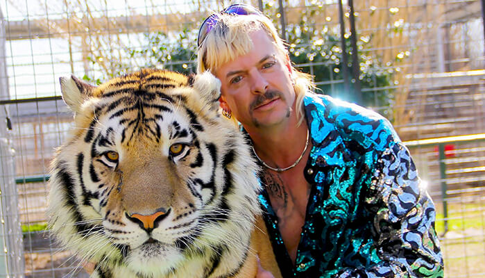 tiger king wie geht es weiter