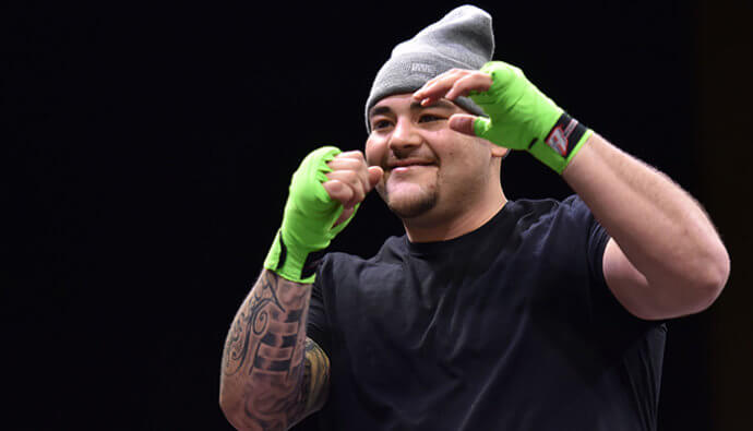 andy ruiz comeback