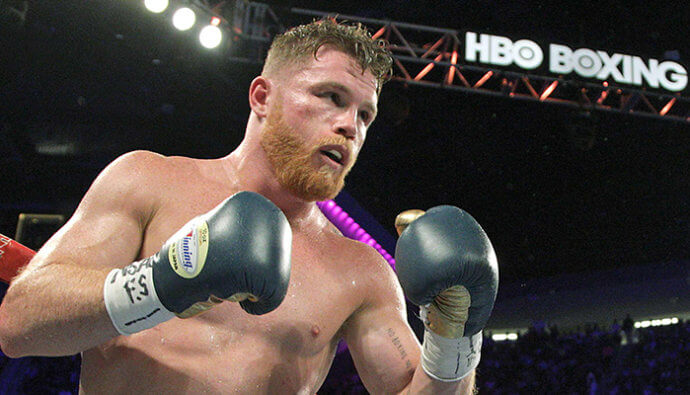 canelo vs plant