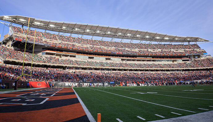 cincinnati bengals