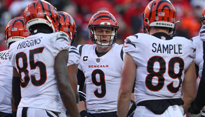 cincinnati bengals kader roster eigentümer