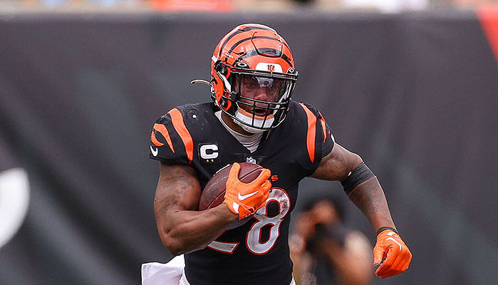 Bengals Dolphins Tipp