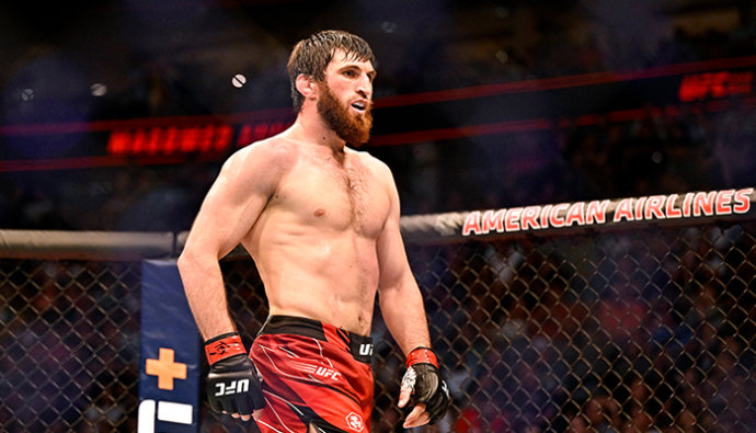 blachowicz vs ankalaev