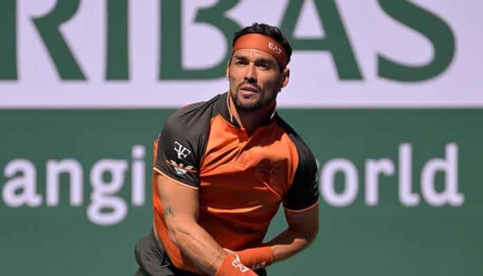 Paire - Stebe Tipp