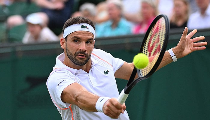 Dimitrov Rune Tipp