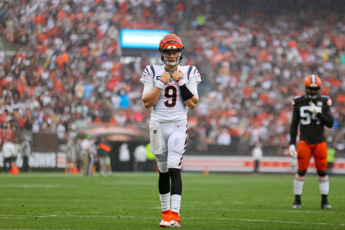 Bengals Ravens Tipp