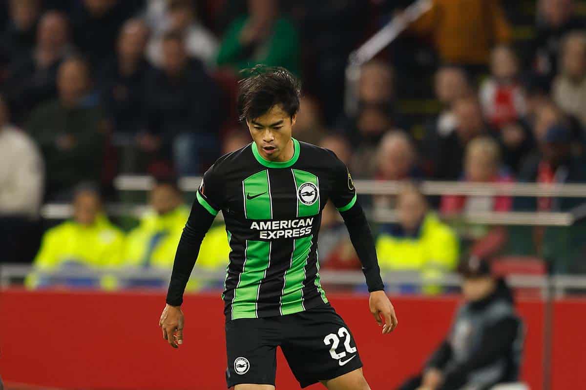 Brighton Sheffield United Tipp