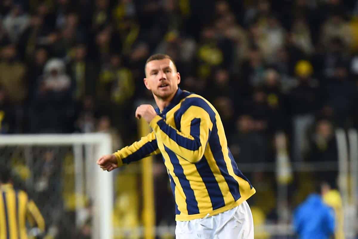Fenerbahce Alanyaspor Tipp