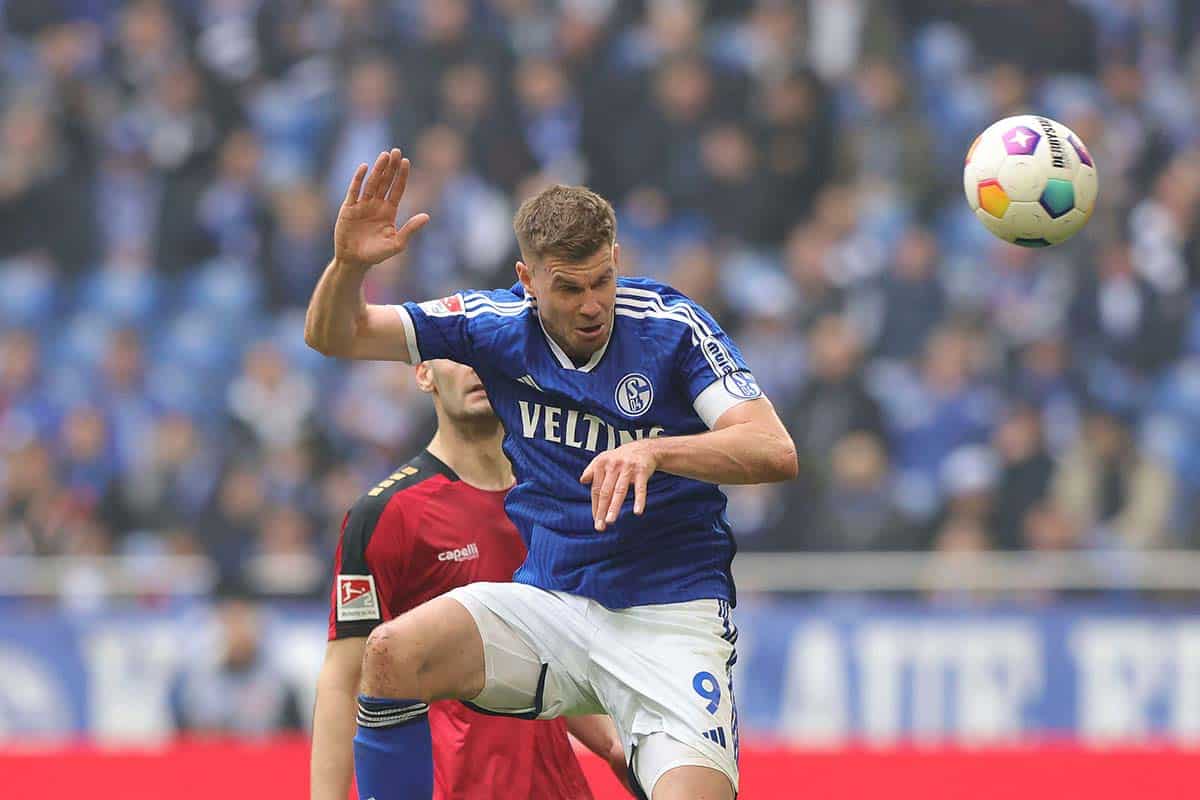 Hannover Schalke Tipp