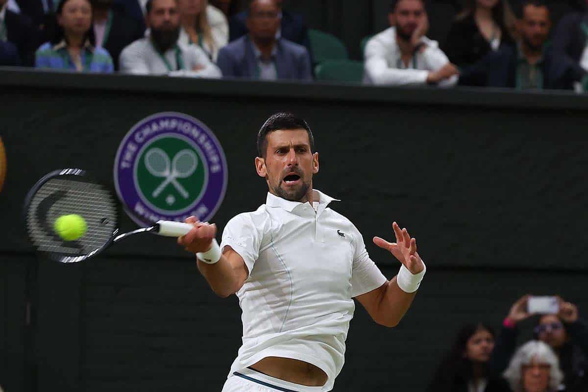 Musetti Djokovic Tipp