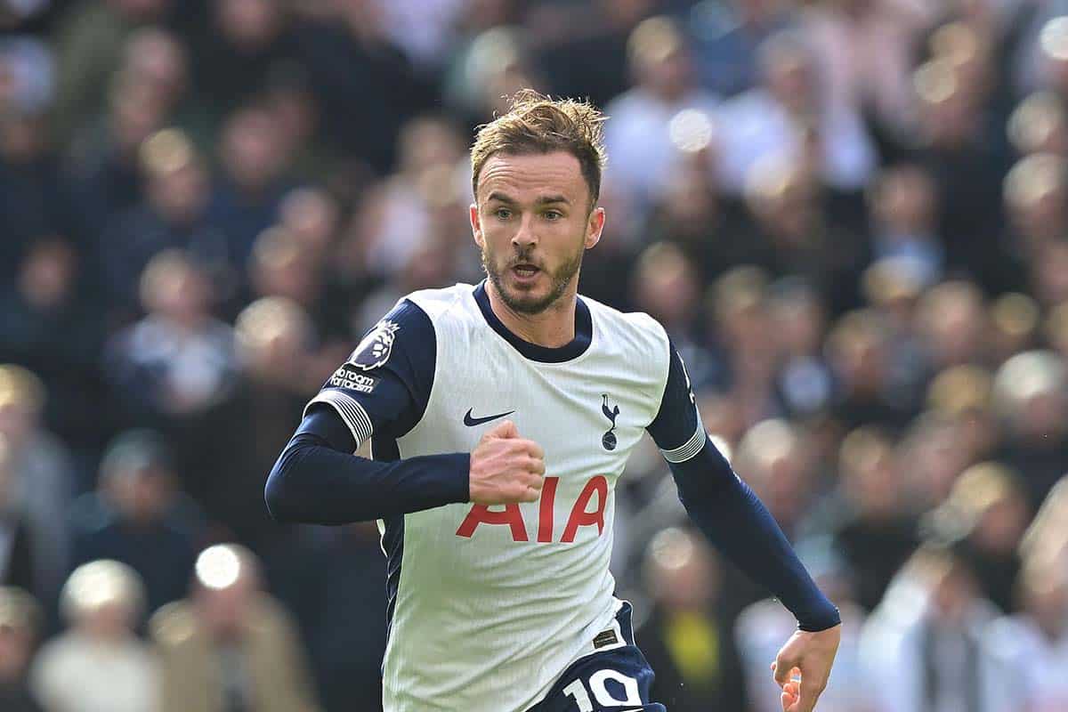 Tottenham Alkmaar Tipp