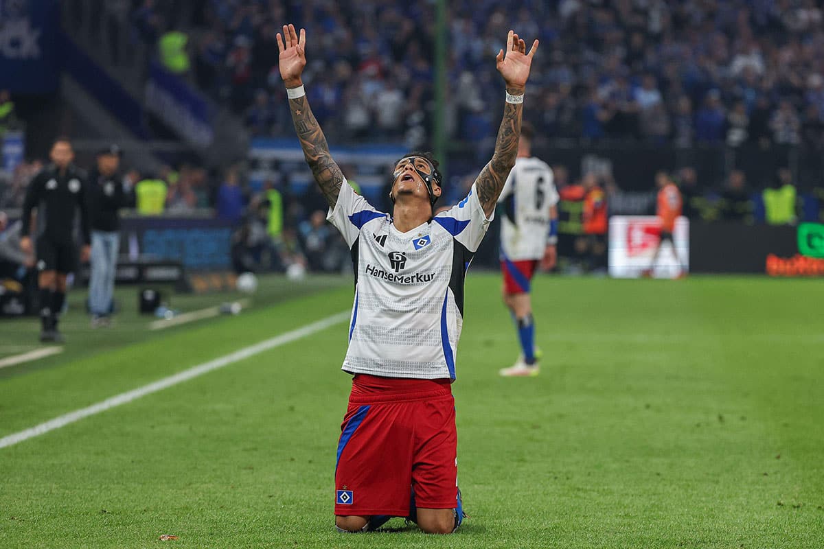 2. bundesliga prognose aufstieg-hsv-davie-selke