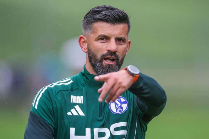 Schalke Twente Testspiel Übertragung