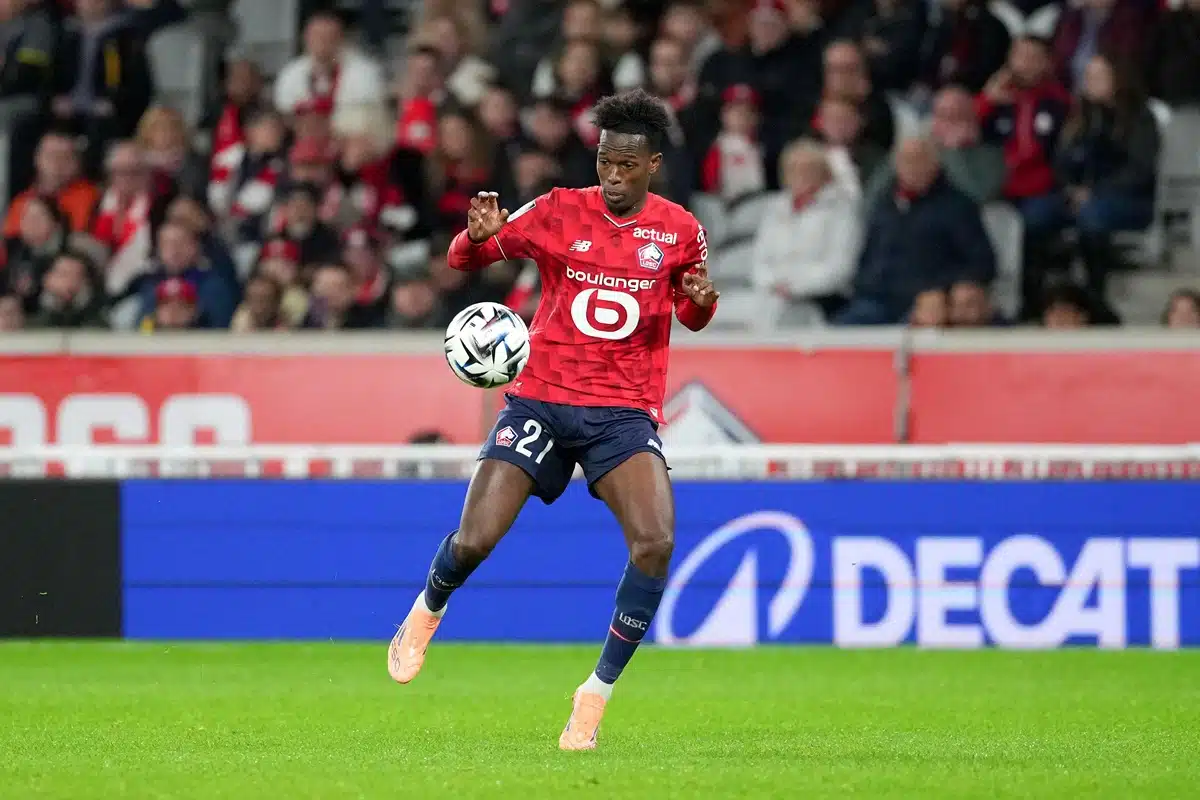 Roter Stern Lille Tipp