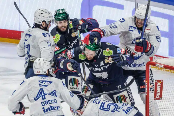 Adler Mannheim Eisbären Berlin Tipp