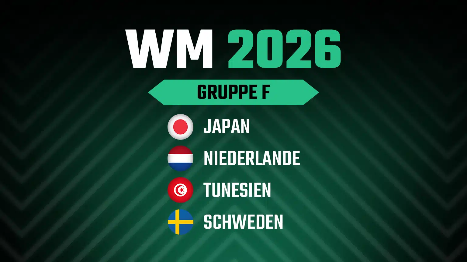 WM 2026 Gruppe F