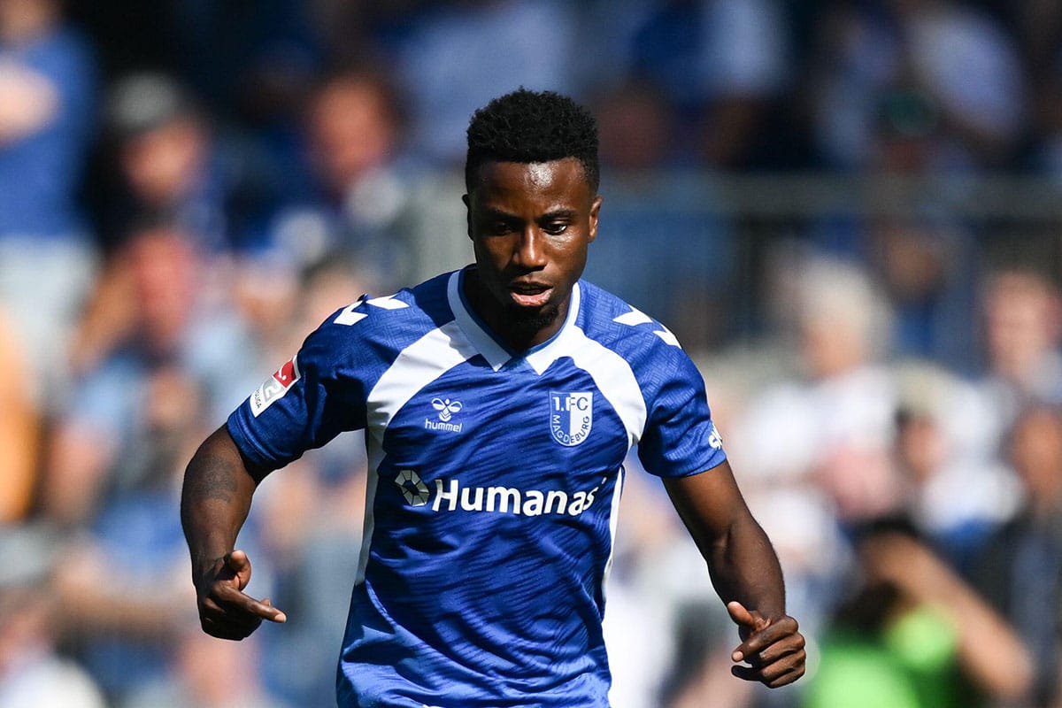 Kiel Magdeburg Tipp