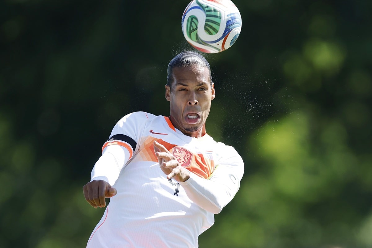 Niederlande Japan Tipp